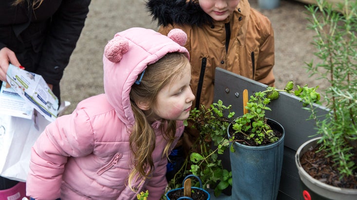 A girl in a pink raincoat smelling a potted plant in the kitchen garden at Sizergh in Cumbria